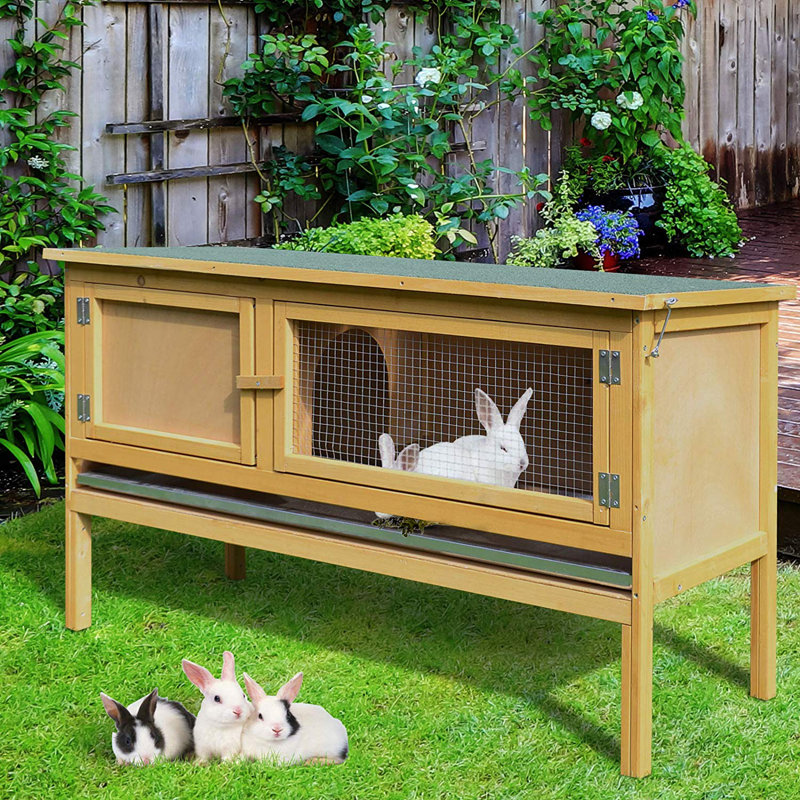 Archie & Oscar Dorthy 1 Story Raised Rabbit Hutch Wayfair.co.uk